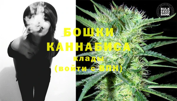 молекула духа Нефтекумск