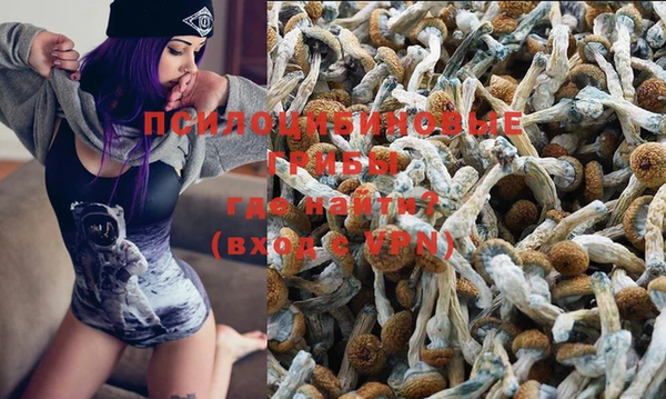 стаф Беслан