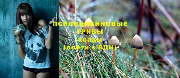 молекула духа Нефтекумск