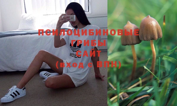 молекула духа Нефтекумск