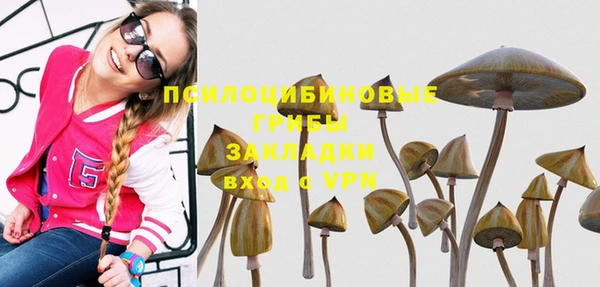 молекула духа Нефтекумск